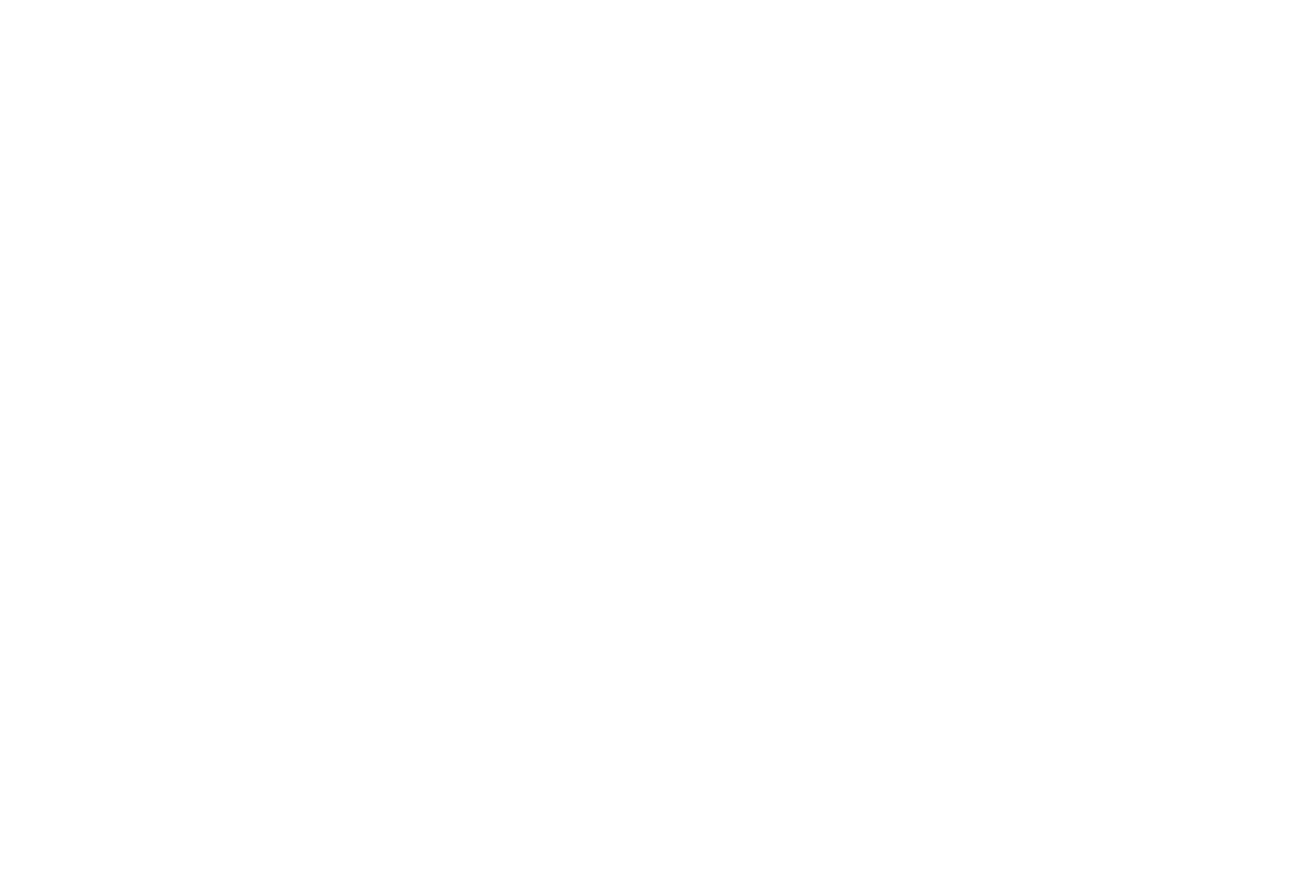exclusive paintworks logo upscaled white